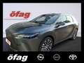 Lexus RX 350 h Executive Line Pano Dach / Techpaket Grau - thumbnail 1