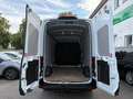 Ford Transit Kasten 350 L3H3 Trend - AHK SHZ KAM Bianco - thumbnail 10
