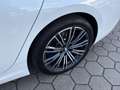 BMW 330 d M Sport Touring LC-Prof. HiFi Navi DAB Sitzh. Weiß - thumbnail 14