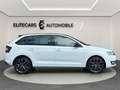 Skoda Rapid/Spaceback Rapid 1,0 TFSI / SPACEBACK / PANOGLAS / RÜCKFAHRK Wit - thumbnail 3