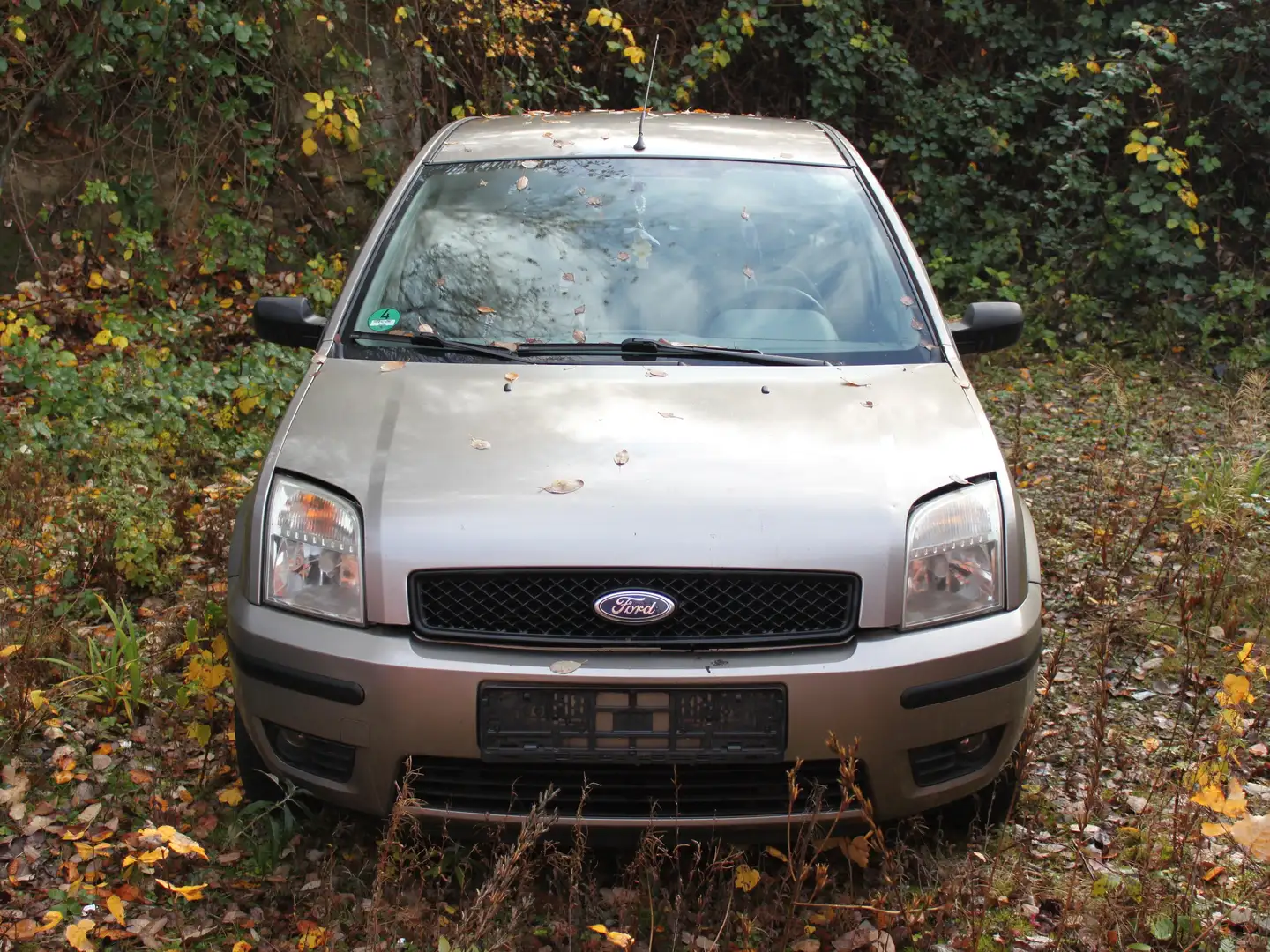 Ford Fusion Fusion 1.4Trend - 1