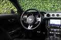 Ford Mustang Fastback 5.0 V8 GT | UNIEK! | DEALER OH! | PERFORM Groen - thumbnail 7