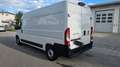 Fiat Ducato Grossr.-Kasten 35 140RS: 4035 mm*TÜV* - thumbnail 6