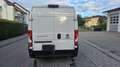 Fiat Ducato Grossr.-Kasten 35 140RS: 4035 mm*TÜV* - thumbnail 5