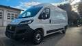 Fiat Ducato Grossr.-Kasten 35 140RS: 4035 mm*TÜV* - thumbnail 1