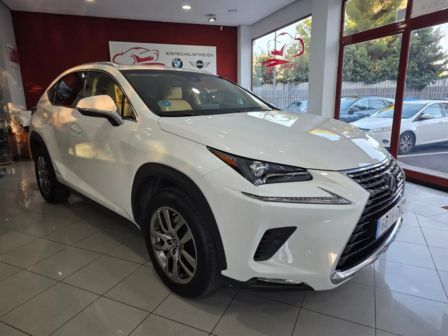 Lexus NX 300 300h Executive Navigation 4WD Blanco - 1