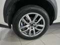 Lexus NX 300 300h Executive Navigation 4WD Blanco - thumbnail 22
