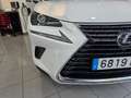 Lexus NX 300 300h Executive Navigation 4WD Blanco - thumbnail 11