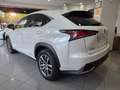 Lexus NX 300 300h Executive Navigation 4WD Blanco - thumbnail 5
