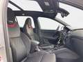 Skoda Octavia 2.0 TSI DSG RS Navi AHK Bull X Šedá - thumbnail 15