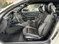 BMW M3 Cabrio*Deutsches Auto*letzer Sauger*Scheckheft Blanc - thumbnail 11