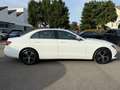 Mercedes-Benz E 220 d Avand.*Media-Display+KeyFree+Ambiente* Weiß - thumbnail 4