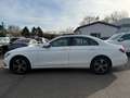 Mercedes-Benz E 220 d Avand.*Media-Display+KeyFree+Ambiente* Weiß - thumbnail 3