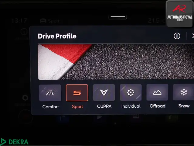 Cupra Ateca view 15