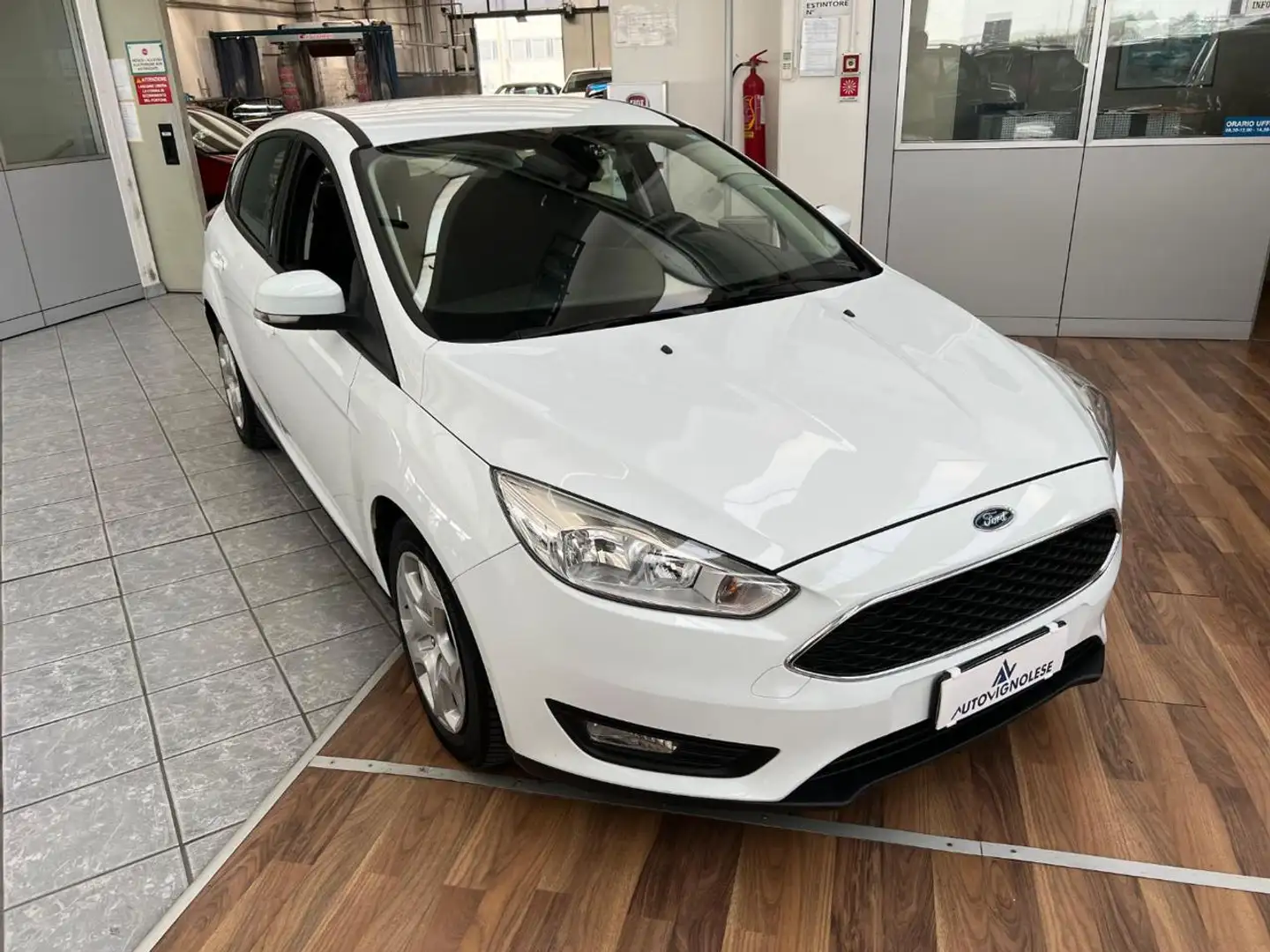 Ford Focus 1.5 TDCi 95 CV Start&Stop Business - SENSORI Bianco - 1
