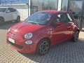 Fiat 500 1.0 hybrid Club 70cv Rouge - thumbnail 3