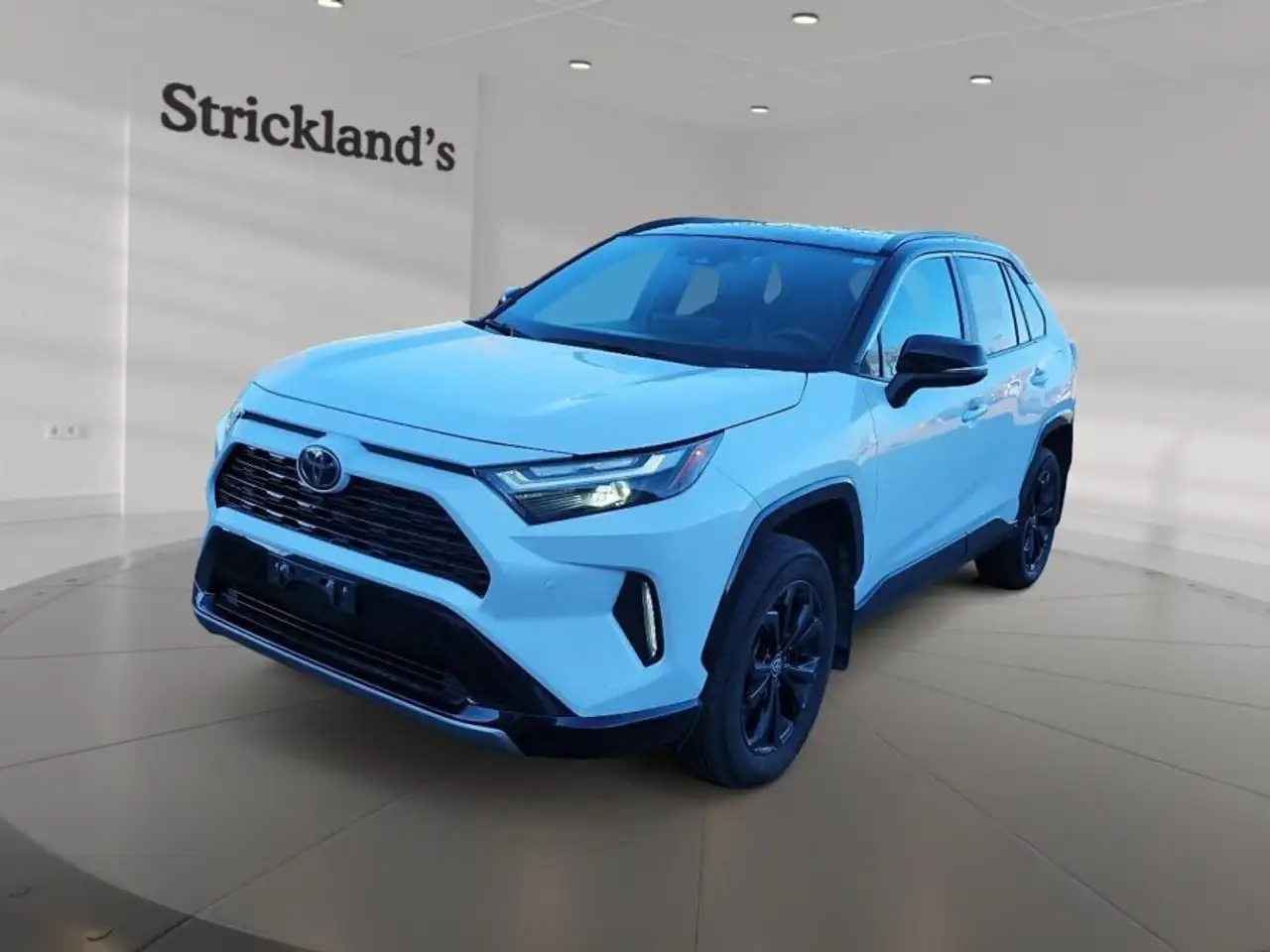 2025 Toyota RAV 4