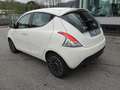 Lancia Ypsilon 1.2 8v Platinum 69cv Bianco - thumbnail 2