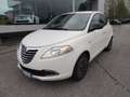 Lancia Ypsilon 1.2 8v Platinum 69cv Bianco - thumbnail 1
