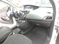 Lancia Ypsilon 1.2 8v Platinum 69cv Bianco - thumbnail 13
