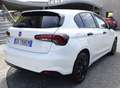 Fiat Tipo 1.4 5 Porte 95cv. Street Bianco - thumbnail 5