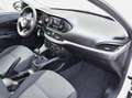 Fiat Tipo 1.4 5 Porte 95cv. Street Bianco - thumbnail 7