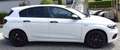 Fiat Tipo 1.4 5 Porte 95cv. Street Bianco - thumbnail 4