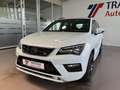 SEAT Ateca 2,0 TSI DSG FR 4Drive ACC TW Pano AHK 360° Blanc - thumbnail 5
