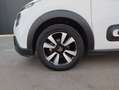 Citroen C3 BlueHDi 75KW (100CV) S&S Shine Blanco - thumbnail 11
