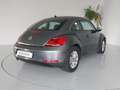 Volkswagen Maggiolino 1.6 TDI Gris - thumbnail 22