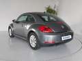Volkswagen Maggiolino 1.6 TDI Gris - thumbnail 23