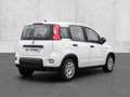Fiat Panda Mild Hybrid City Paket  Gelato Weiß Bianco - thumbnail 2