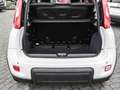 Fiat Panda Mild Hybrid City Paket  Gelato Weiß Bianco - thumbnail 15