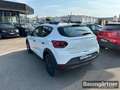 Dacia Sandero Stepway Essential TCe ECO-G 100 LPG PDC Bianco - thumbnail 4