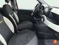Fiat Panda Hybrid 1.0 51kw (70CV) Rojo - thumbnail 13