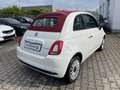 Fiat 500C 1.0 Klima*Carplay*Einparkhilfe Weiß - thumbnail 6