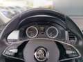 Skoda Kodiaq 2,0 TDI SCR Ambition Limited 7 Sitze DSG Schwarz - thumbnail 16
