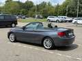 BMW 218 i Cabrio Advantage,M Interieur,Shz.3,49% Gris - thumbnail 8