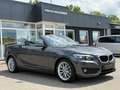 BMW 218 i Cabrio Advantage,M Interieur,Shz.3,49% Gris - thumbnail 3