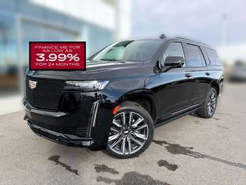 Sport Platinum