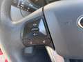 Kia Rio 1.2 Concept Burdeos - thumbnail 19