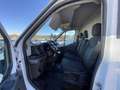 Ford Transit Transit V363 RWD 2019 350 .2.0 tdci MHEV 130cv Bianco - thumbnail 8