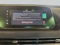 Ora Funky Cat 400 Pro+ Schwarz - thumbnail 19