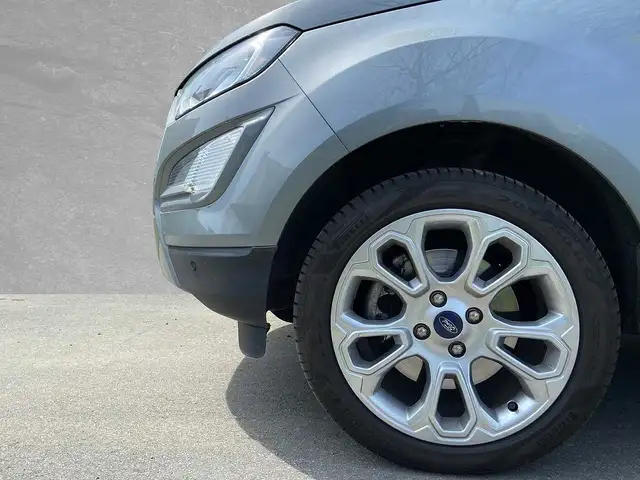 Ford Ecosport view 8