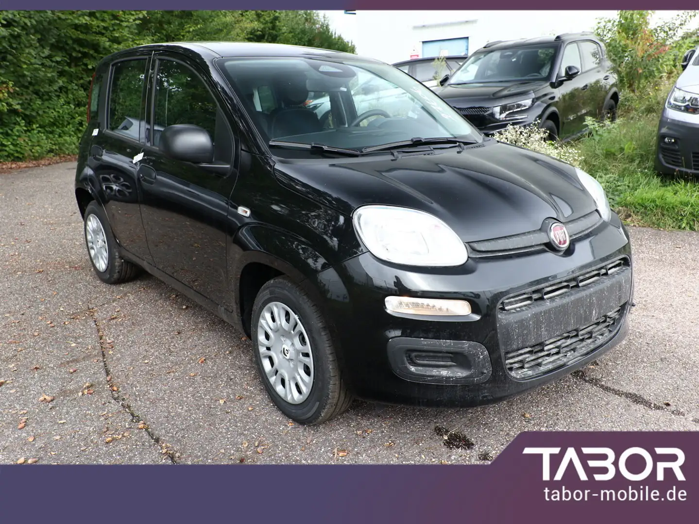 Fiat Panda MHEV 70 5"-DAB Temp PDC DigCo LaneA 5-Sitz Schwarz - 2