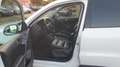 Volkswagen Tiguan Sport & Style 4Motion/Panoramadach/Navi Weiß - thumbnail 11