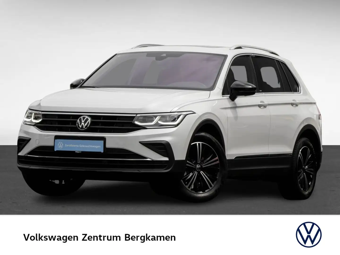 Volkswagen Tiguan 1.5 MOVE PANO 360CAM ACC LM18 NAVI SITZHZ Weiß - 2