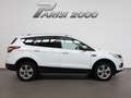 Ford Kuga 1.5 EcoBoost 120 CV 2WD Titanium *PROMO PARISI* Bianco - thumbnail 6