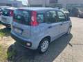 Fiat Panda 1.2 Easy Grigio - thumbnail 5