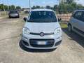 Fiat Panda 1.2 Easy Grigio - thumbnail 9